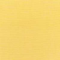 5438 Canvas Buttercup